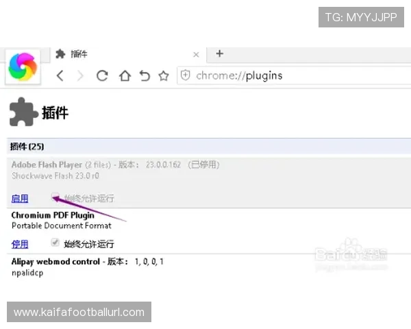 利用凯发体育注册中心官网查询功能，快速解决账号异常与登录困难的实用技巧